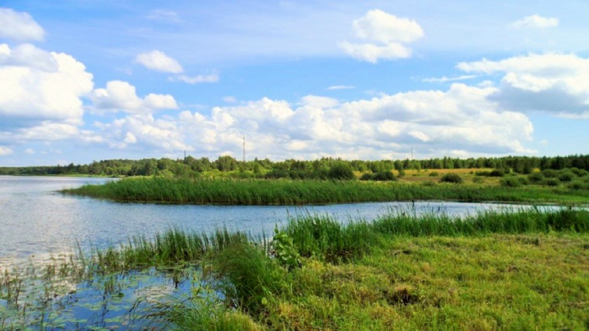 Селище кимрский район фото